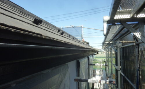 Previous