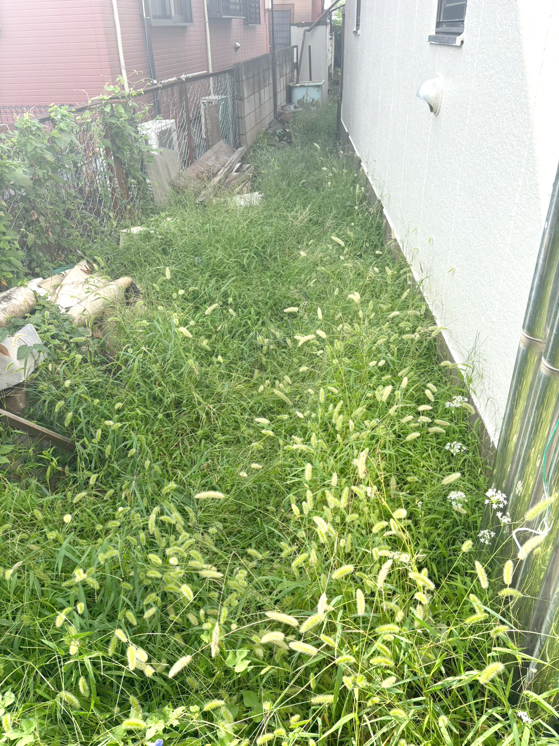 ［東京都清瀬市中里］アパート周辺の除草・整備を行いました【施工中の様子216】